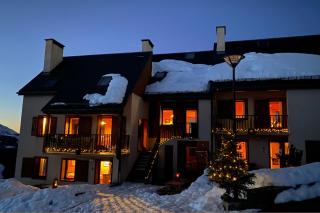 Chalet Aster - Germ - 2