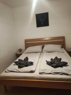 Ferienwohnung Bergpanorama Traumlage auf 1200m inkl Spielzeug - Mühlbach am Hochkönig - 4