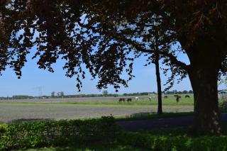 Gastenhuis de Veenstraal Gieterveen - 4