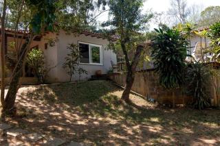 Canto dos pássaros - 8