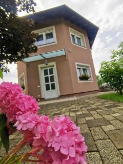 Apartmani Jastreb 2 - Jastrebarsko - 2