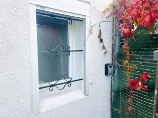 La maison de la Petite Martinières - 1