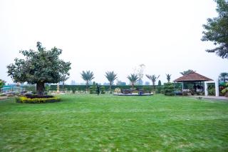 GK farmhouse, Qadirabad, Mandi Bahauddin - 1