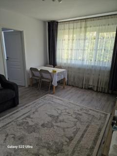 Apartament de inchiriat - 9