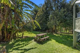 The Treehouse- Whanarua Bay - Te Kaha - 1
