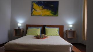 Quinta do Carmo house with View - Calheta - 8