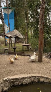 Refugio Ecológico Hanan Pacha Granja, Montañas y Aventura - Huaraz - 8