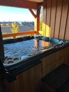 3 BR 3 Bath ski in ski out with private hot tub - Big White - 9