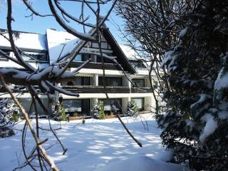 Köhnke 5 Comfortable holiday residence - Hahnenklee-Bockswiese - 9