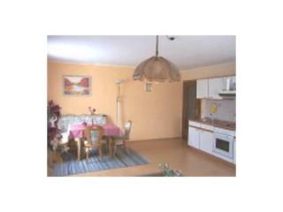 Ebner Comfortable Holiday Residence - Böbrach - 5