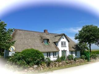 Poststuuv Comfortable holiday residence - Nebel - 0