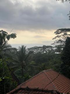 One Bedroom private pool and kitchen - Ubud - 7