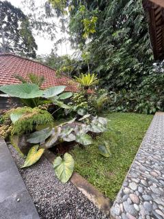 One Bedroom private pool and kitchen - Ubud - 3