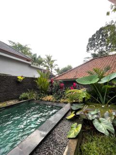 One Bedroom private pool and kitchen - Ubud - 1