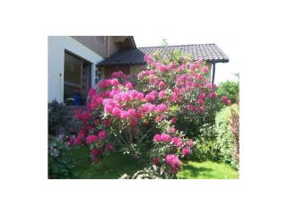 Ebner Comfortable Holiday Residence - Böbrach - 6