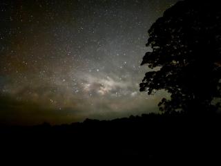 Karri Glade Farm Stay - - 3