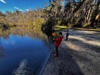 Karri Glade Farm Stay -  - 2