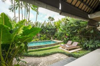 Villa Tirtha Amertha Ubud - Ubud - 6