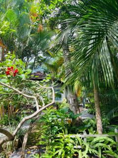 Krishan Villa - Negombo - 9