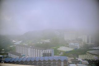 Cameron Palas Homestay - Sunrise View - 8