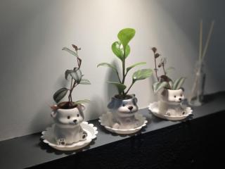 宜蘭頭城多一點民宿 - 3