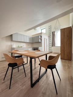 Radbuza Apartment - Plzeň - 1