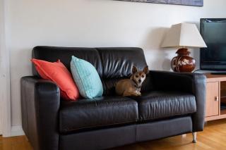 Sea Breeze - Wamberal North - 5