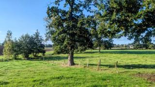 Gîte des champs étoilés - Thuboeuf - 5