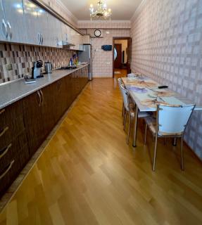 Apartment near Statistics Circle - Baku - 5