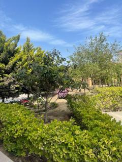 villa in Baku - 7