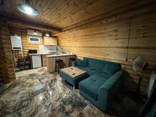 Eco cottage in Borjomi with pool 1 - Sadgeri - 9