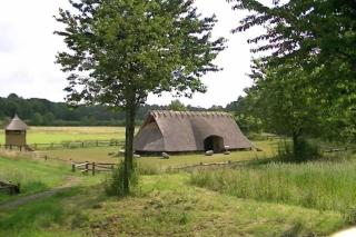 Natuurhuisje het Steenuiltje op een prachtige plek - Wekerom - 4