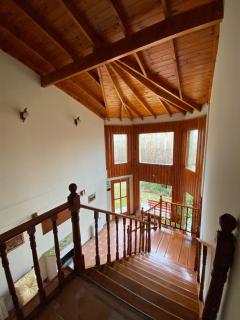 Kalenshen Calafate - 1