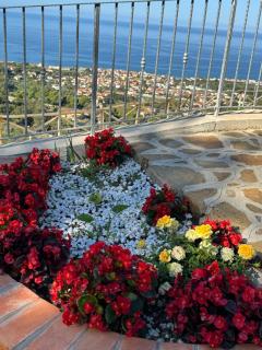Casa Iris - Castellabate - 6