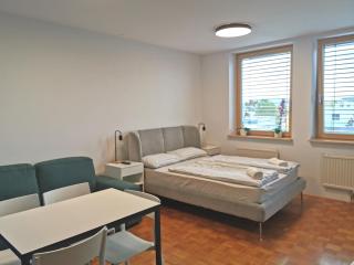 Dunajska Apartment - Ljubljana - 0