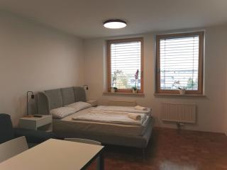 Dunajska Apartment - Ljubljana - 9