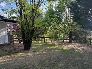 Blue Willow Cottage - Bathurst - Bathurst - 3