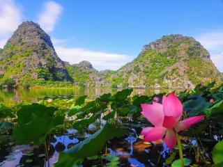Trang An Lotus Lake Homestay - Ninh Binh - 8