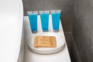 Royal Wilanów Chic Studio - Varsovia - 7