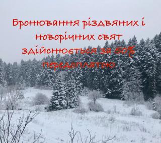 Вілла Лісова комфорт - Skhidnitsa - 8