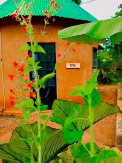 Sonofjohnhomestay - Karatu - 2