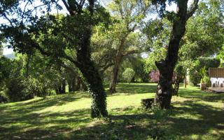 Le merle - Cogolin - 6