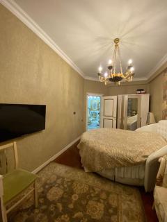 Luxurious apartment in center - 1