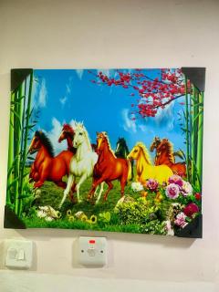 Harmony Home - Abu Dhabi - 0