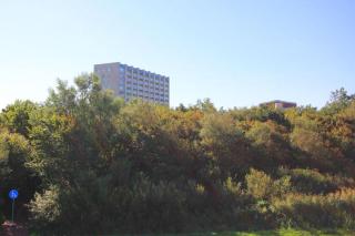 Strandhochhaus Döse Ferienwohnung 61 SH61 - Cuxhaven - 6