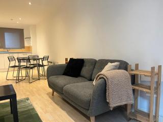 Cosy Apartment in City Centre - 0