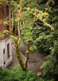 Beautiful studio-apartment - Oslo - 1