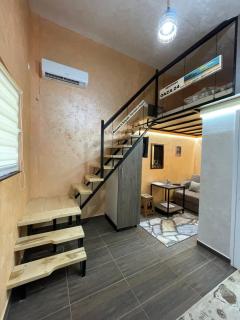 APARTMAN OAZA 24 - Surčin - 8