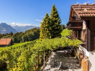 Holiday Home Chalet Zun 6B by Interhome - Sarnen - 0