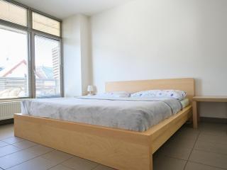 Apartment Čertovka-2 by Interhome - Harrachov - 7